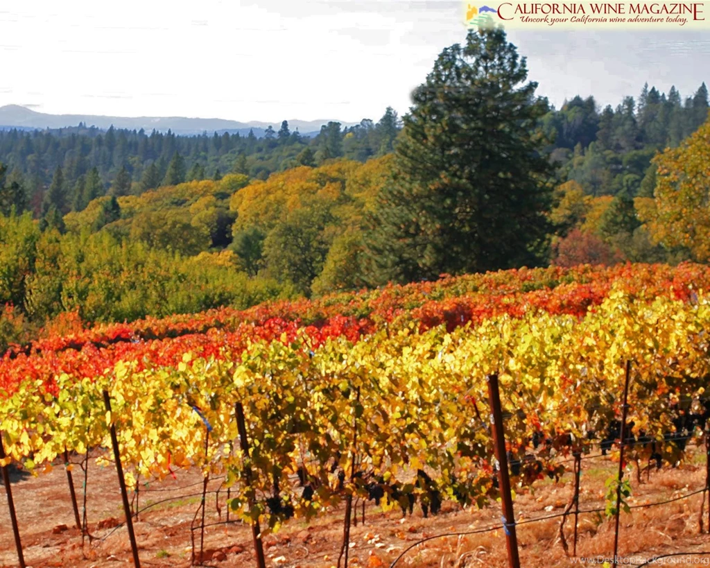 California Wine Magazine Wallpapers