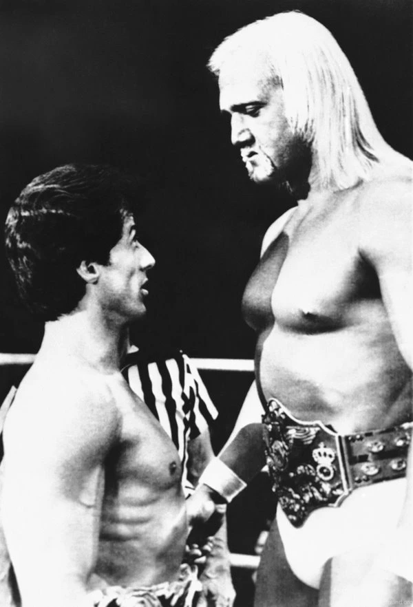 Men,monochrome,actors,Rocky Balboa,Sylvester Stallone,rocky The ...