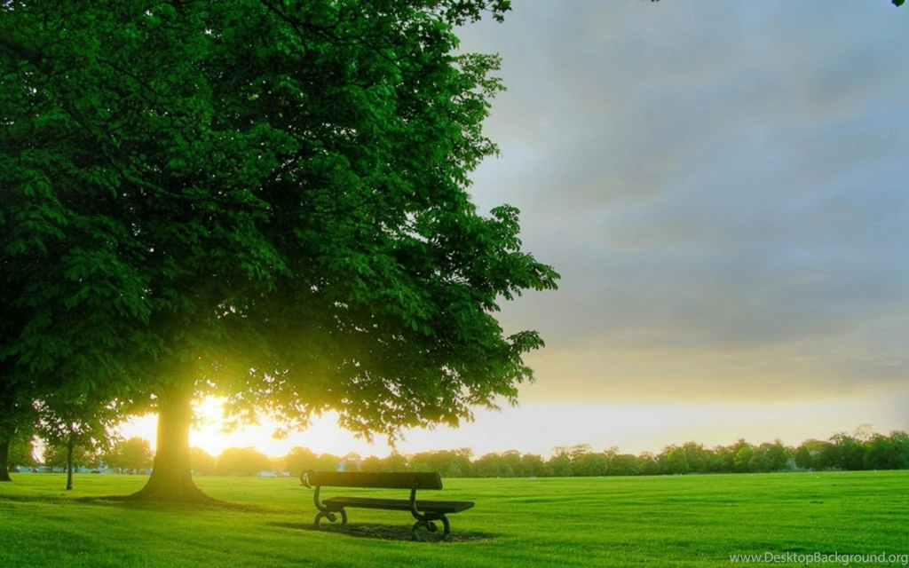Spring Nature Tree Wallpapers MixHD Wallpapers