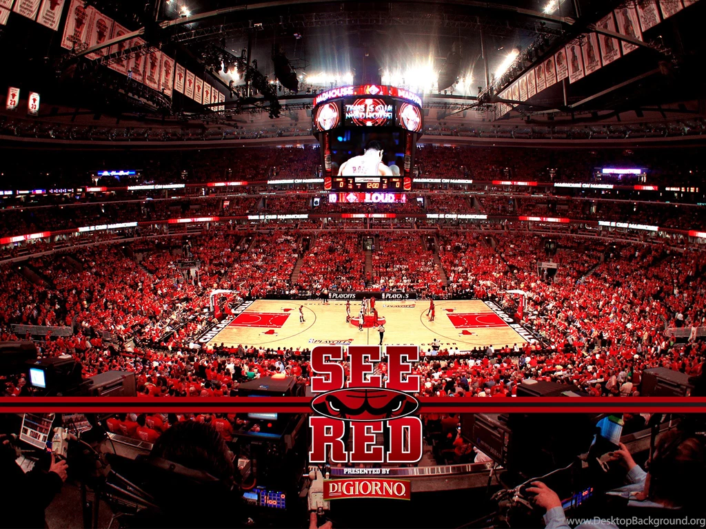 Chicago Bulls Wallpapers Picture A2Z » WALLPAPERUN.COM