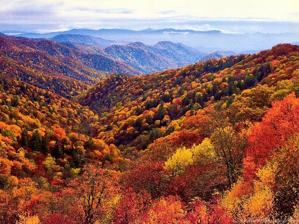 Best Time To See Smoky Mountain Fall Colors