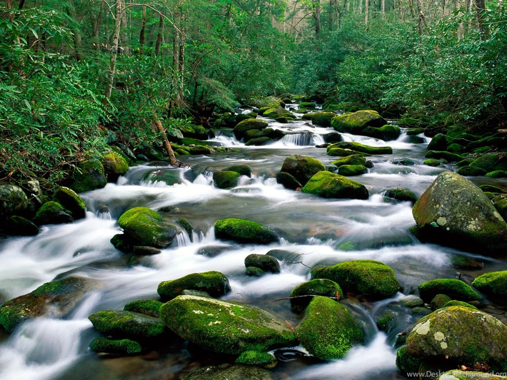 Free Roaring Fork River Great Smoky Mountains Tennessee Wallpapers ...