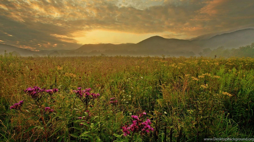Morning, Cades Cove, Great Smoky Mountains 1920x1080 (1080p ...