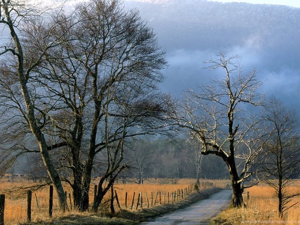 Nature: Sparks Lane Cades Cove Great Smoky Mountains National Park ...