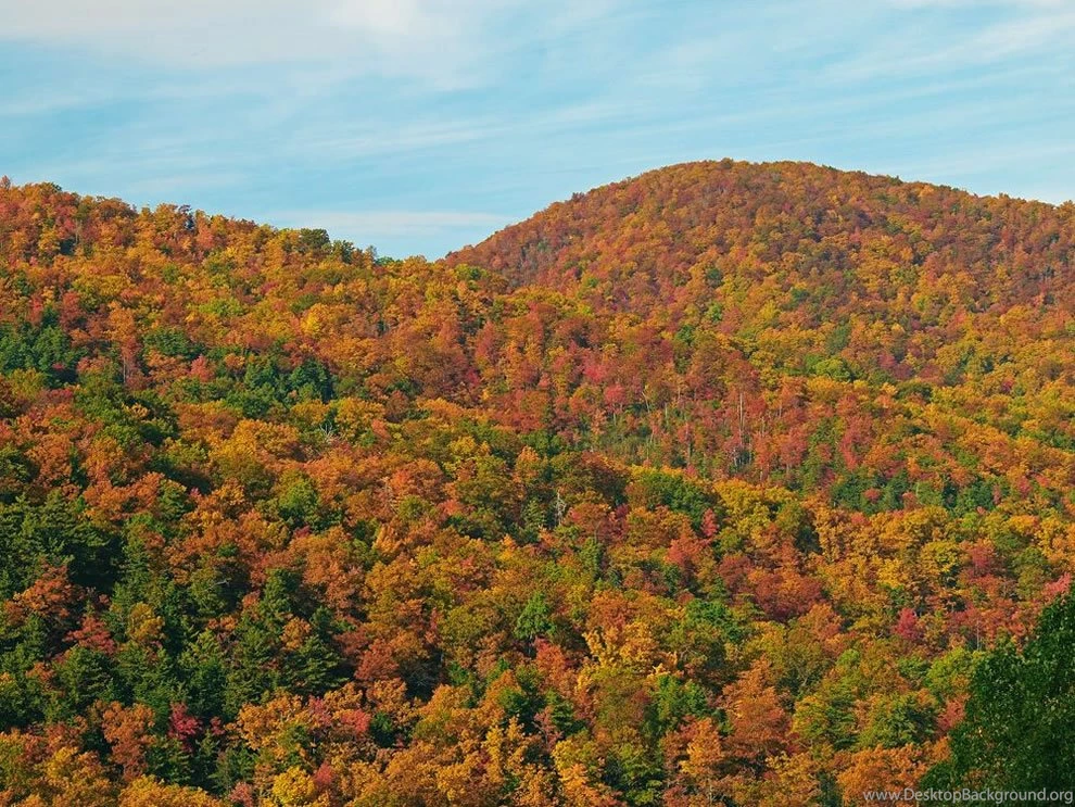 Fantastic Fall Season In The Great Smoky Mountains [38 PICS]