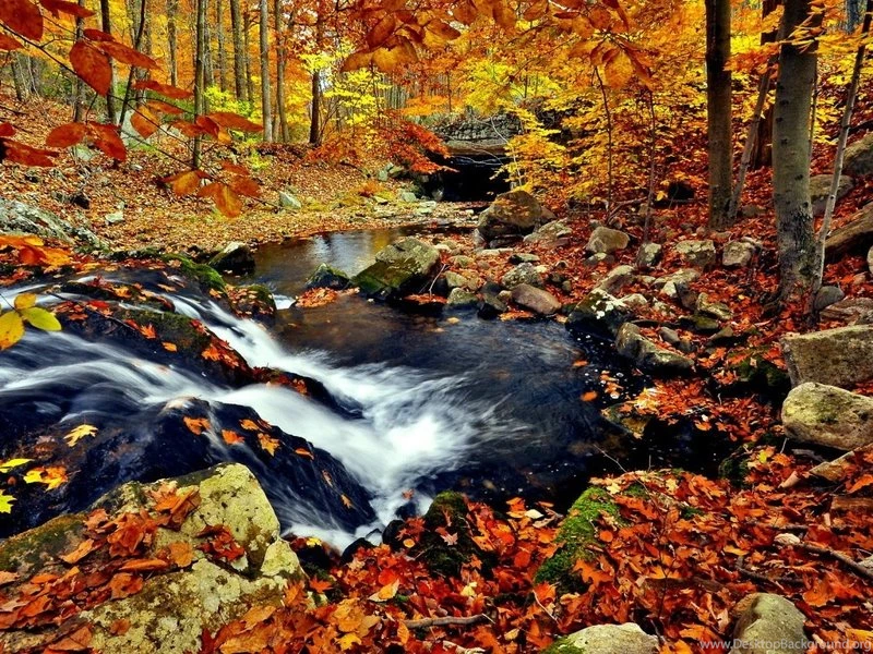 Landscapes Change Tennessee National Park Season Great Smoky ...