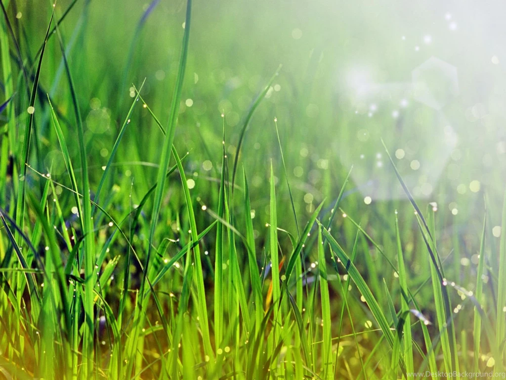 Desktop Wallpapers · Gallery · Windows 7 · Windows 7 Morning Dew ...