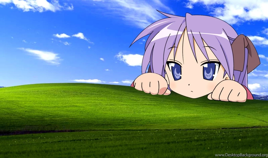 Funny Windows Xp Wallpapers