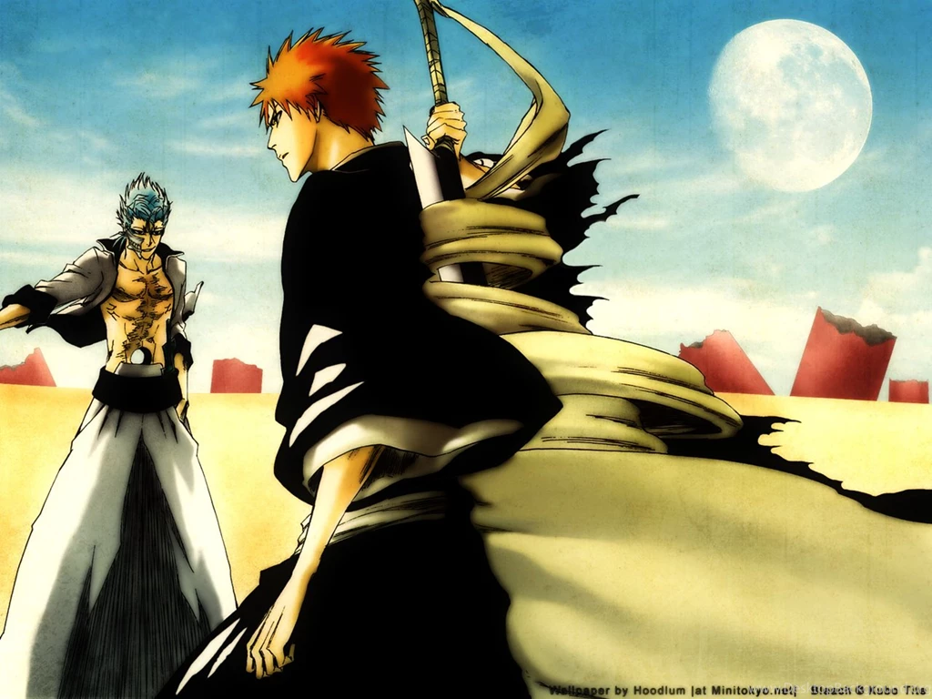 Grimmjow And Ichigo Bleach Anime Wallpapers (20094265) Fanpop