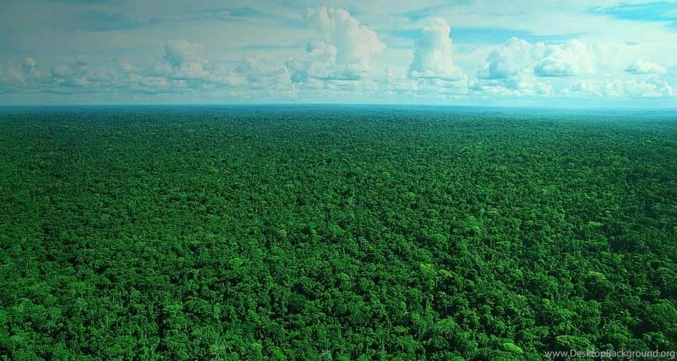 Bing Wallpapers Archive