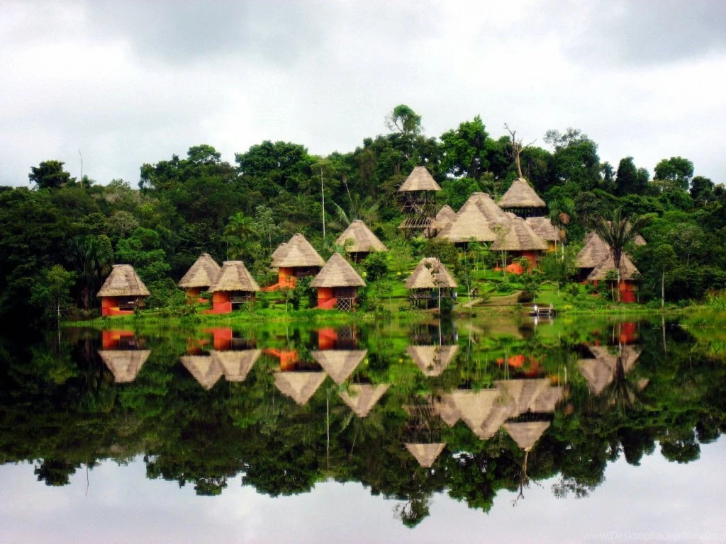 Amazing Amazon Forest 1024x768 Wallpapers,Amazon Forest 1024x768 ...