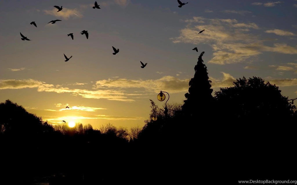 Sun Rising Nice View Wallpapers