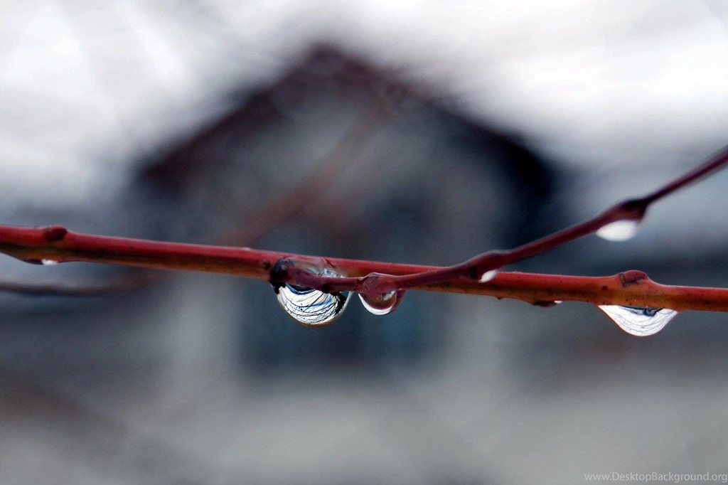 Nice View After Winter... >> HD Wallpaper, Get It Now!