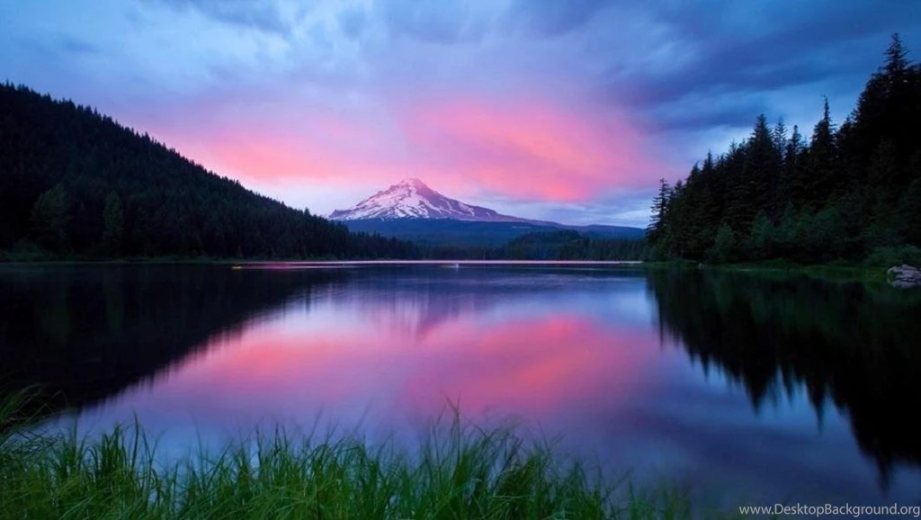 A NICE VIEW WALLPAPER (