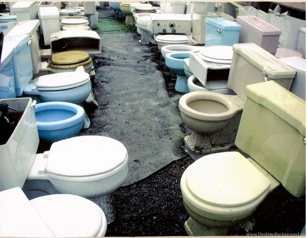 Funny Toilet Photos   Wallpapers HD Wide