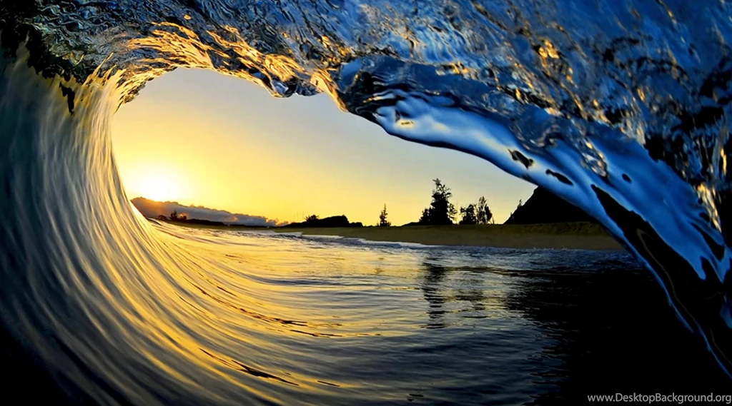 Clark Little Shorebreak Culture & Life