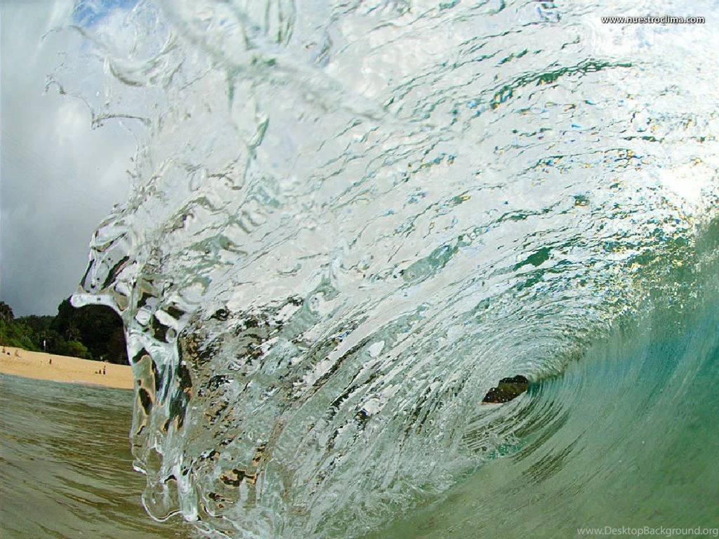 My Free Wallpapers   Nature Wallpapers : Inside Wave (by Clark Little)