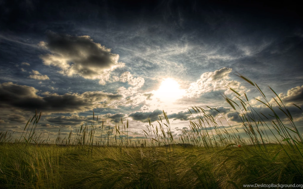 Wallpapers Nature Islamic Wide Hd Best 2560x1600