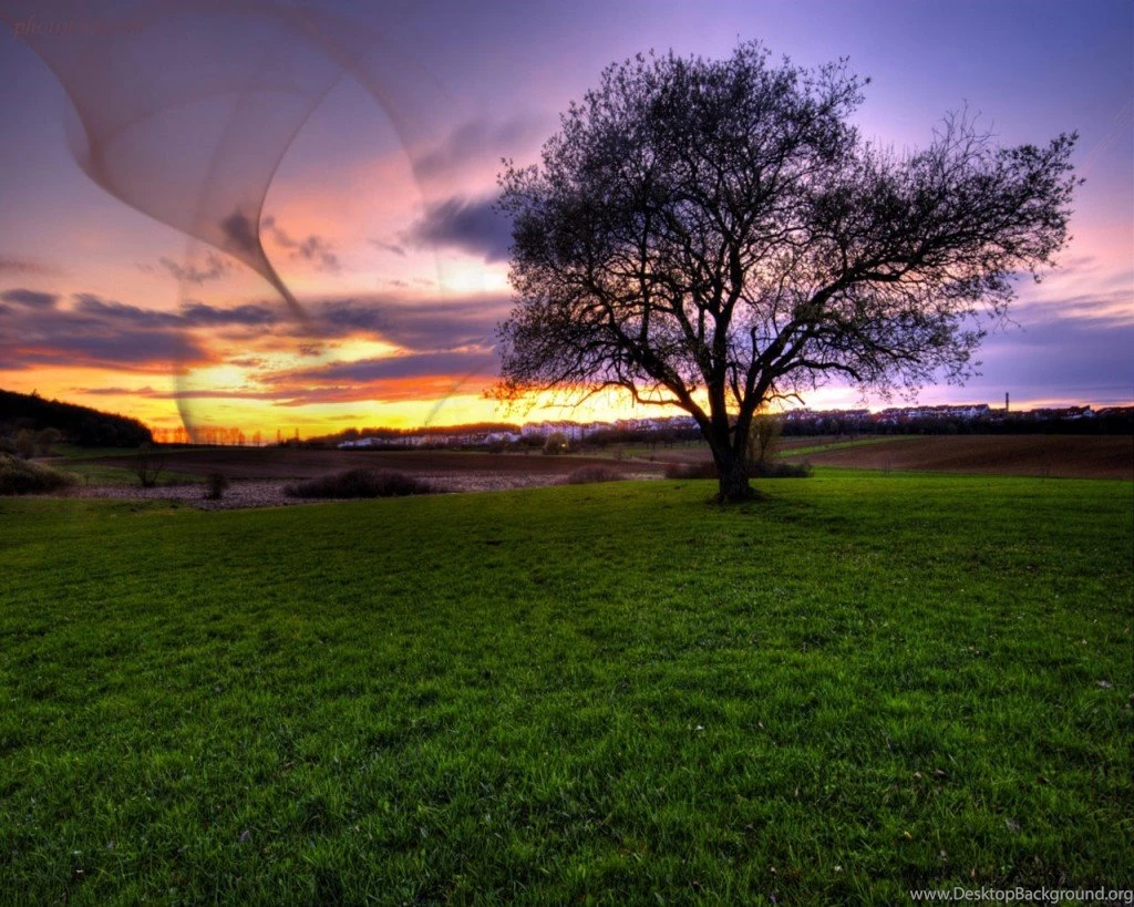 Beautiful Wallpapers Free Download