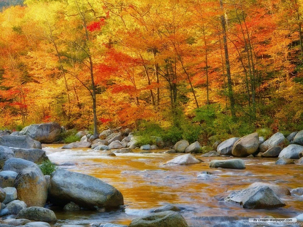 Free Nature Wallpapers Hd All Wallpapers New
