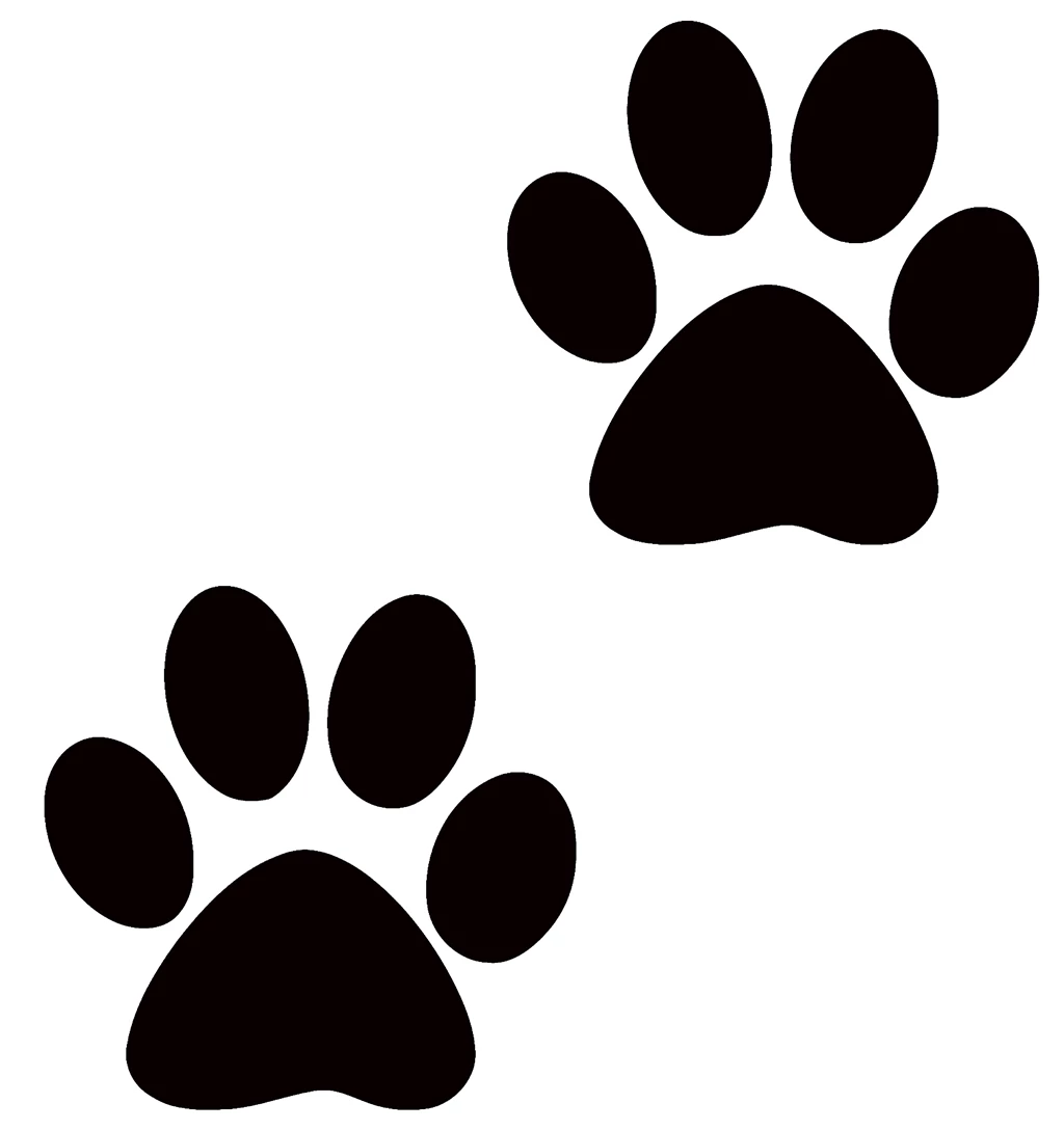 18 Best Photos Of Paw Print No Backgrounds Puppy Paw Print, Cat ...