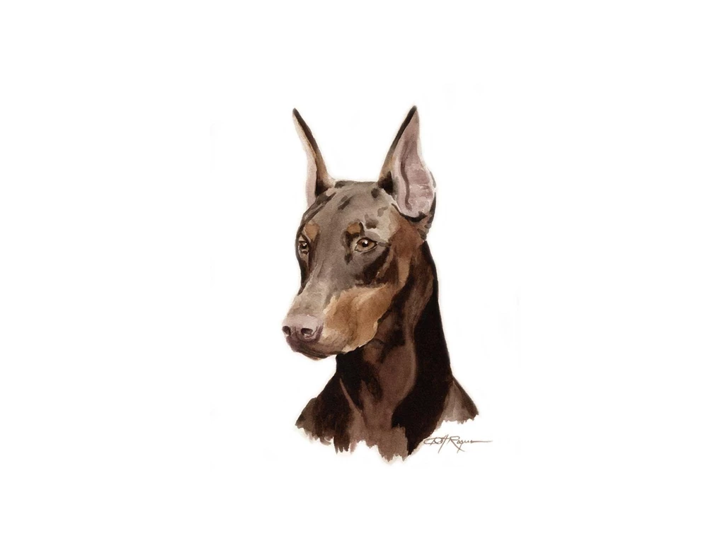 Doberman Pinscher Wallpapers HD Download