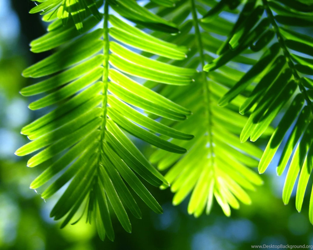 New Best Wallpapers HD Wallpapers Pretty