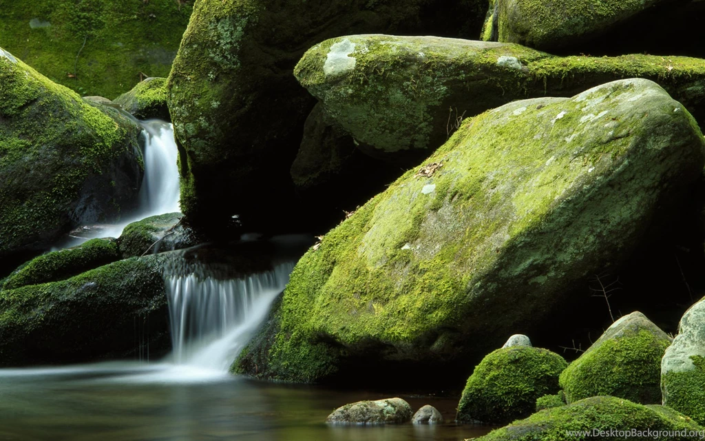 Wallpaper, Wonderful, Discount, Windows, Nature, Image, Photo ...