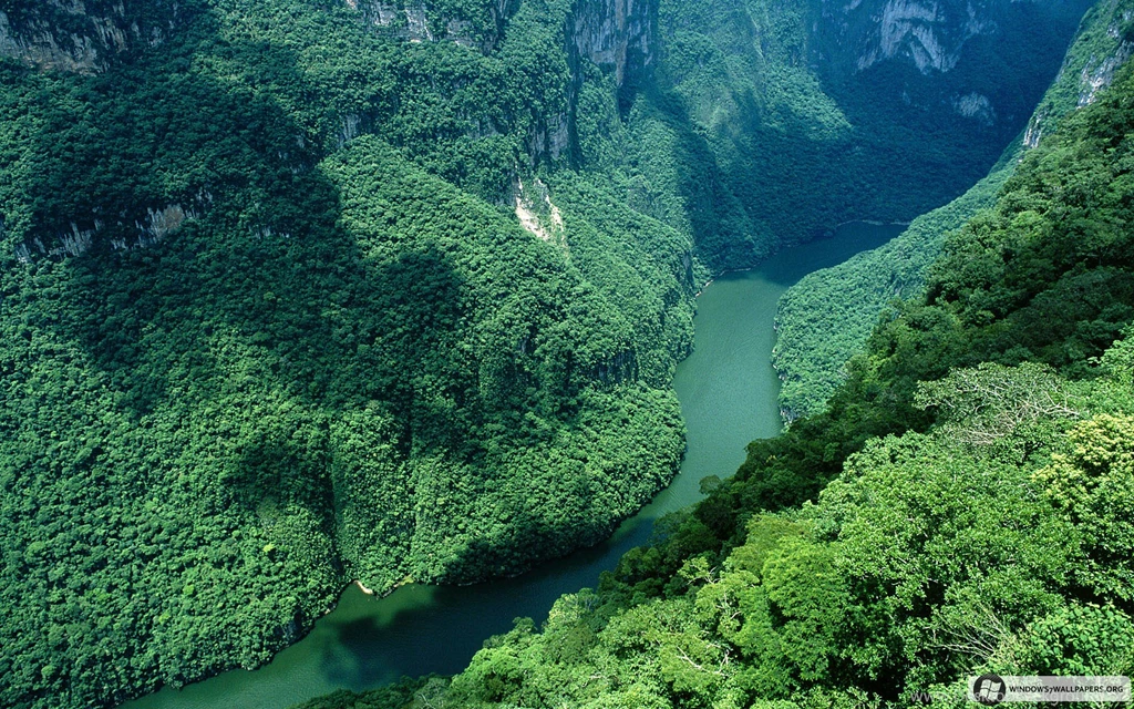 30+ Beautiful High Quality Nature Wallpapers For Windows 7 Ntt.cc