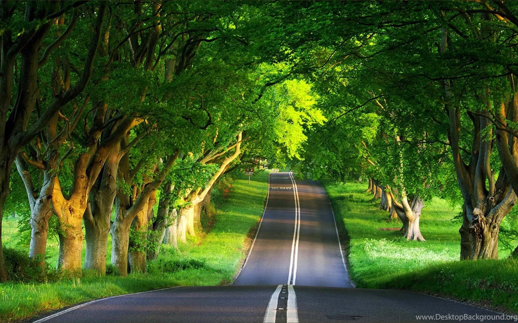 Latest Seductive Nature Photography Wallpapers 11 2560x1600 ...