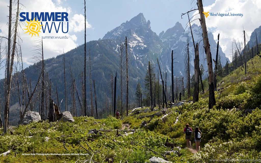 Summer At WVU Wallpapers