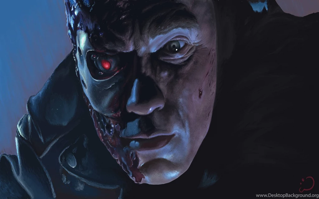 Terminator Arnold Schwarzenegger Terminator The Sarah Connor ...