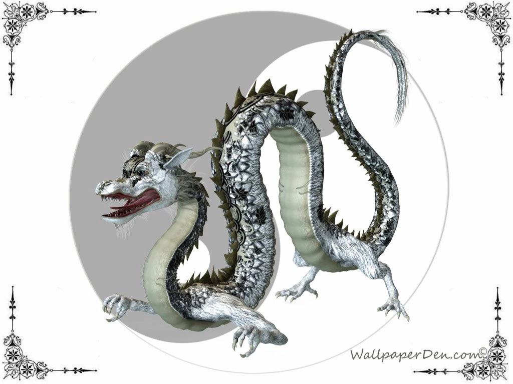 Cartoon Picture: Ying Yang Dragon Wallpapers