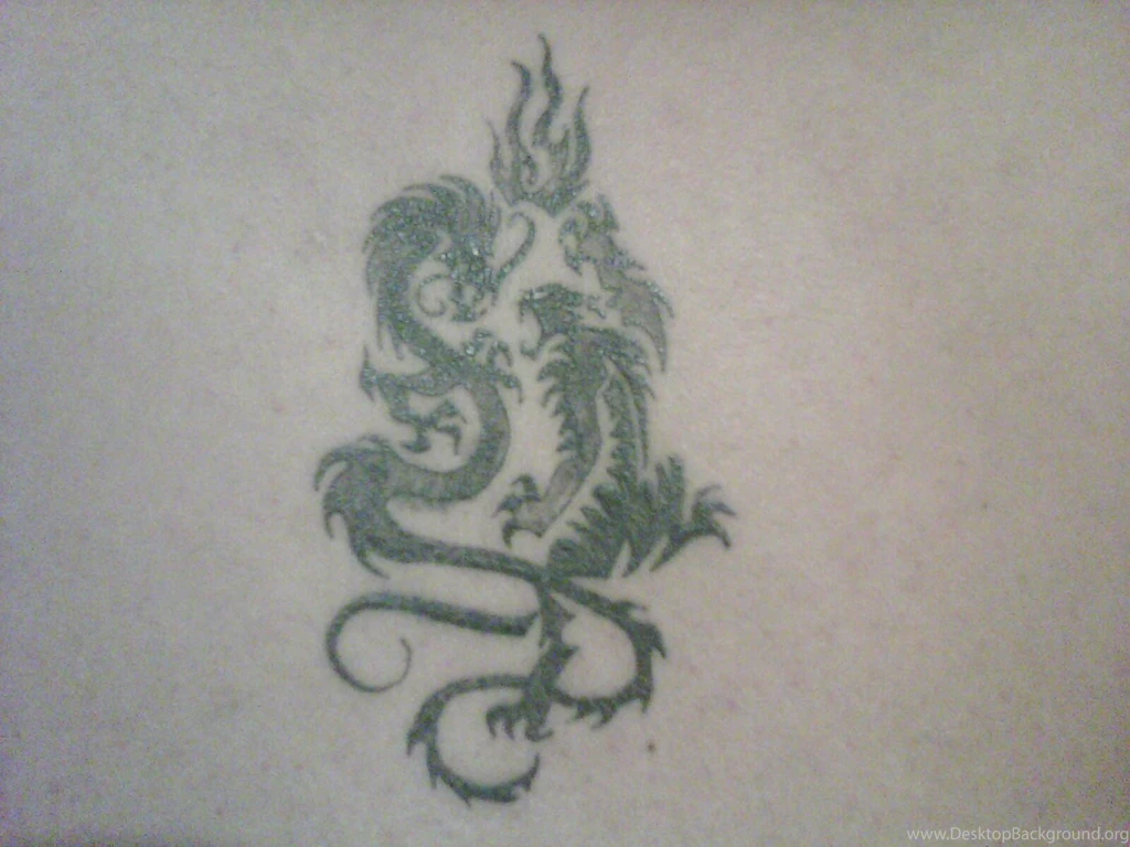 Wallpapers Dragon Age Origins Tigre Yin Yang Tatuaje Tattootattoo ...