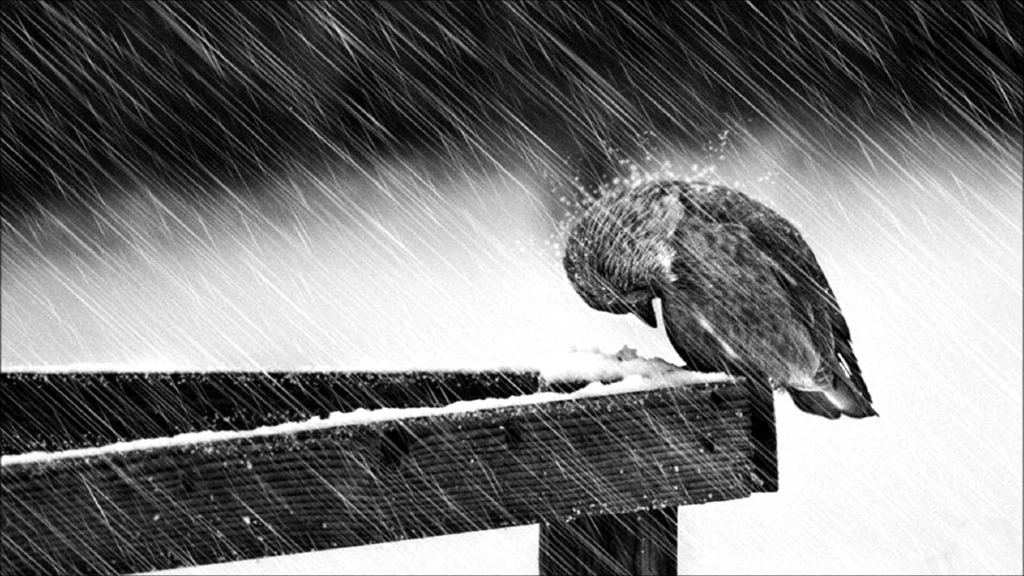 Depression Sad Mood Sorrow Dark People Love Winter Rain Wallpapers ...