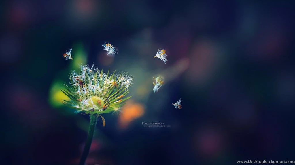 Deviantart Wallpapers, Pictures, Photos, Images & Pics