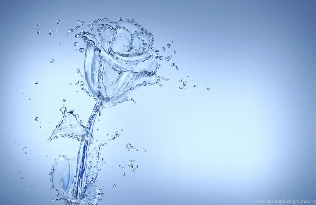 Cool HD Flower Wallpapers