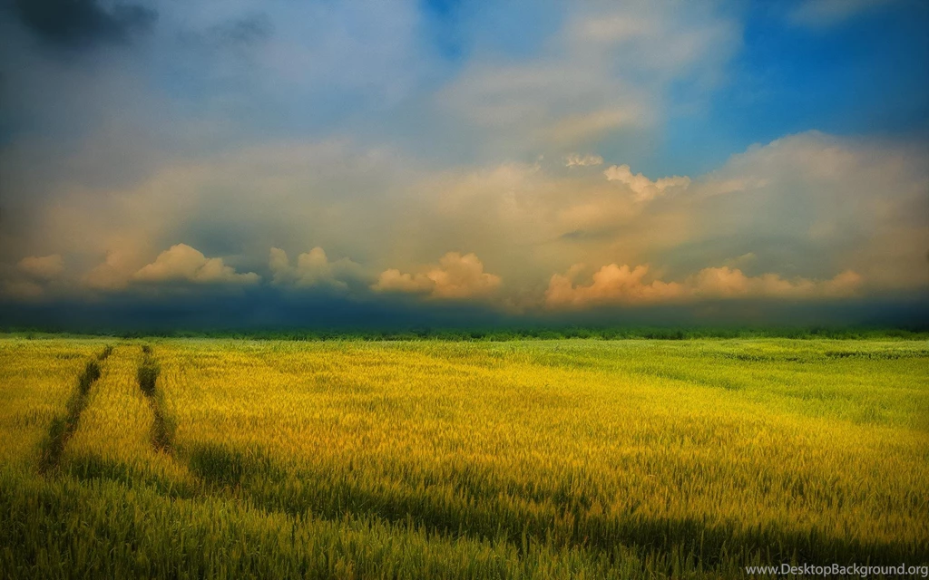 Rice Wallpapers >> Backgrounds With Quality HD