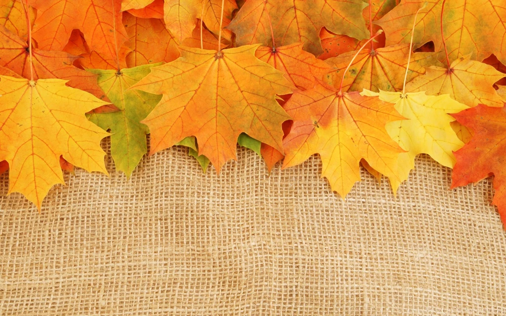 Download Texture: Autumn Leaves Textures, Download Photo ...
