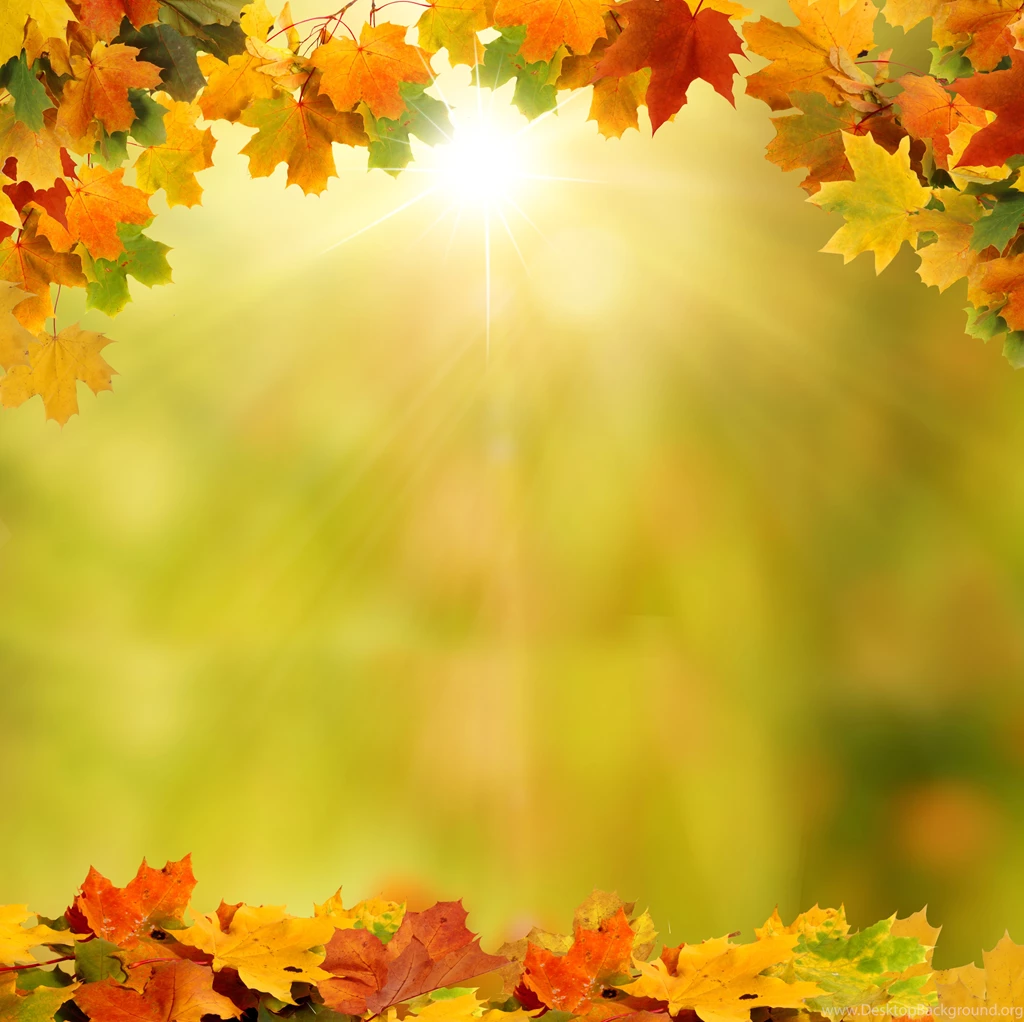 Background_with_Autumn_Leaves.jpg?m=1399676400