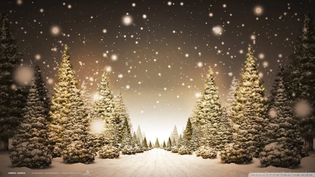 Christmas Forest HD Desktop Wallpapers : Widescreen : High ...