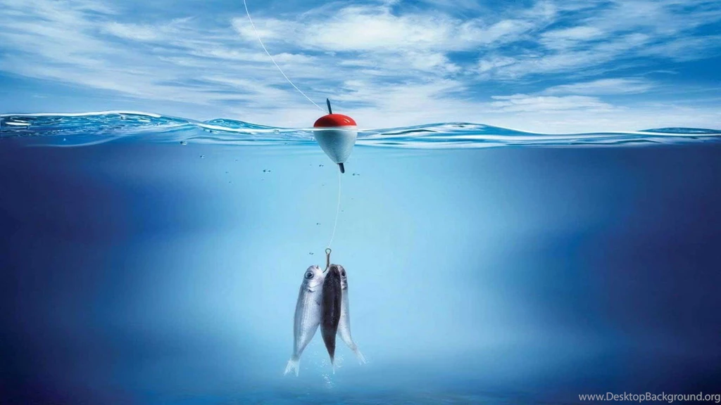 Bass Fish HD Wallpapers For Desktop