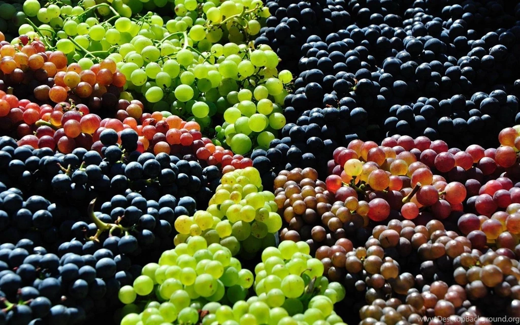 Grapes Wallpapers