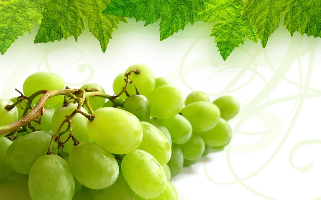 Grapes HD >> HD Wallpaper, Get It Now!