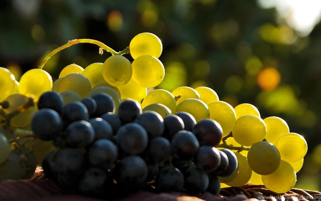 Fruits Food Grapes Wallpapers