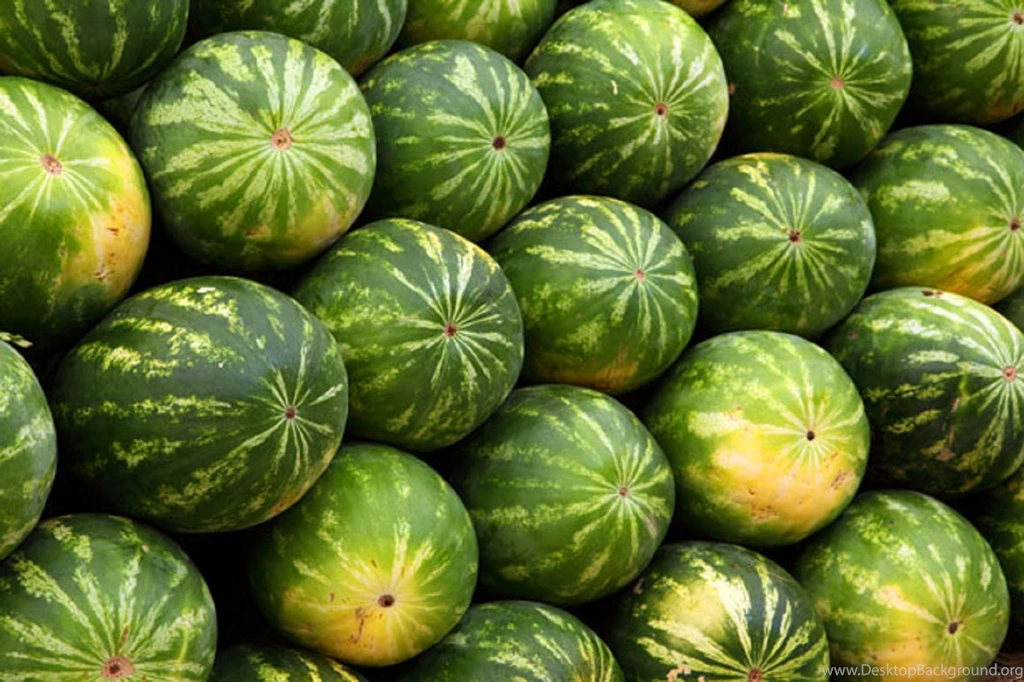 WATERMELON Melon Fruit Red Bokeh Wallpapers
