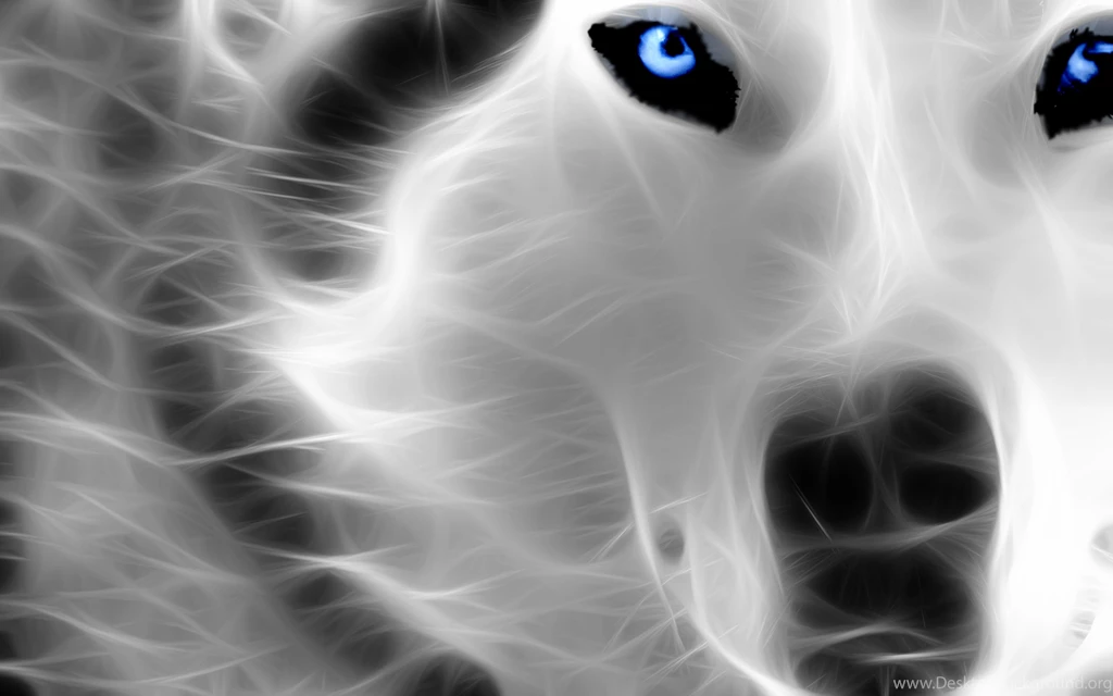Cool Animal High Definition Wallpapers : Animal Wallpapers ...