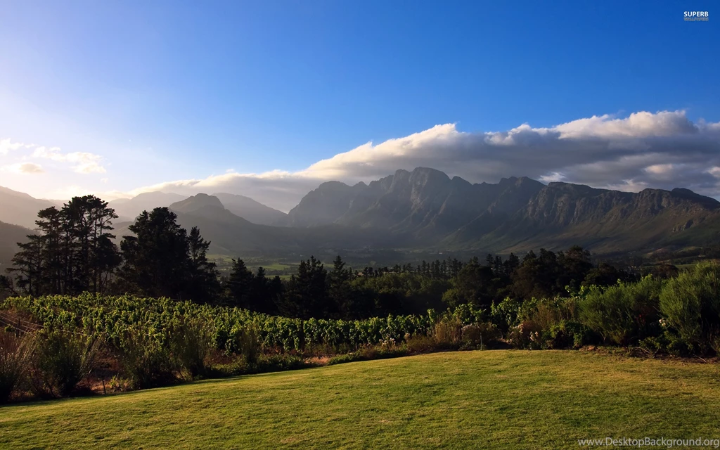 Summer Mountain Scenery : Desktop And Mobile Wallpapers : Wallippo