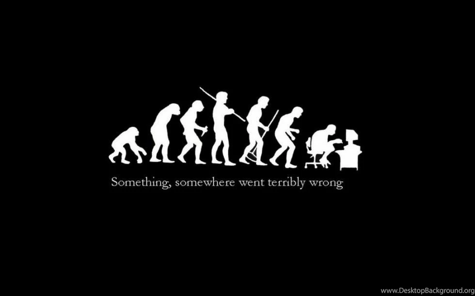 Funny Desktop Wallpapers Free Download Free