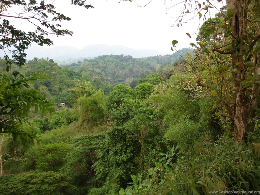 Mountain Scenery Pictures: Wallpapers Tropical Mountains Philippines